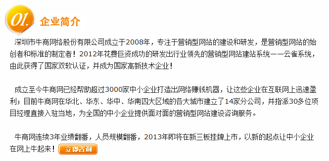 網(wǎng)站建設(shè)公司