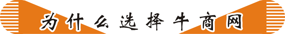 網(wǎng)絡(luò)營銷方案