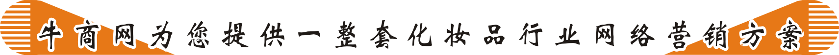 網(wǎng)絡(luò)營銷解決方案
