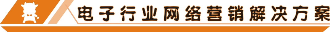 電子行業(yè)網(wǎng)絡(luò)營(yíng)銷解決方案