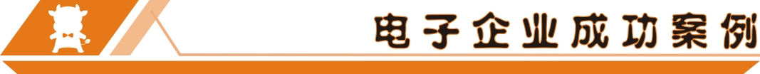 電子企業(yè)成功案例