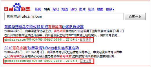 整個(gè)網(wǎng)站的收錄量