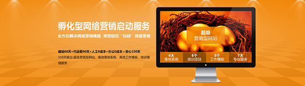 孵化型網(wǎng)絡(luò)營(yíng)銷啟動(dòng)服務(wù)
