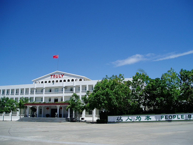 信利國際有限公司