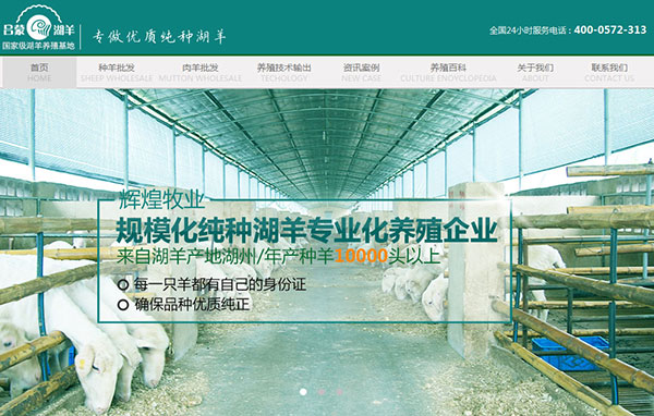 輝煌牧業(yè)營(yíng)銷型網(wǎng)站首屏截圖