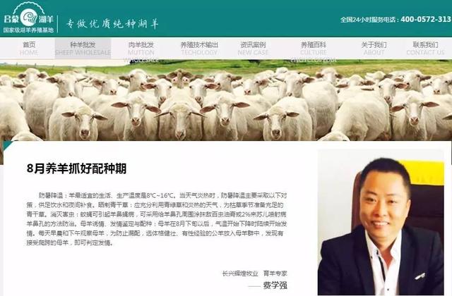 輝煌牧業(yè)超級營銷型網(wǎng)站&ldquo;種養(yǎng)批發(fā)&rdquo;頁首屏截圖