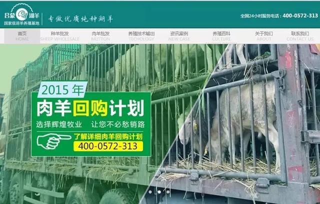 輝煌牧業(yè)超級營銷型網(wǎng)站首頁首屏截圖