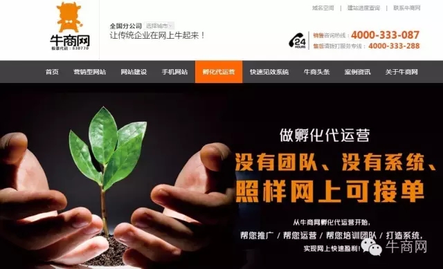 牛商網(wǎng)孵化代運(yùn)營(yíng)項(xiàng)目
