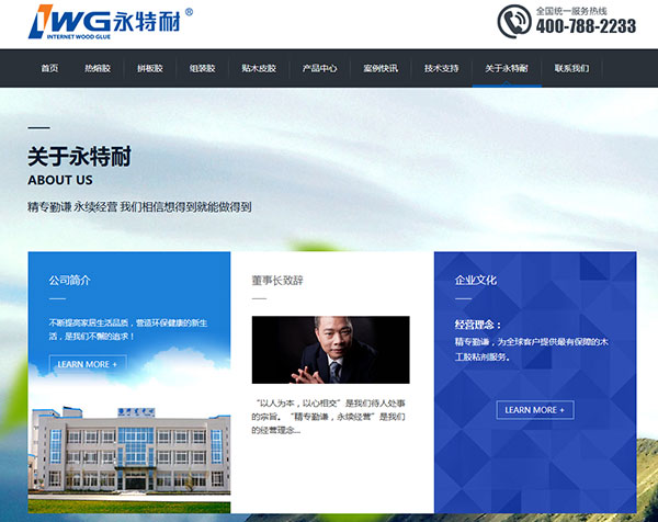 永特耐木膠貿(mào)易營(yíng)銷型網(wǎng)站
