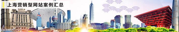 上海營銷型網(wǎng)站案例匯總