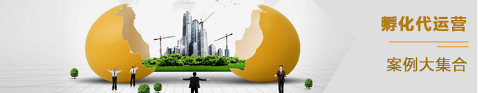 孵化代運(yùn)營(yíng)案例匯總 