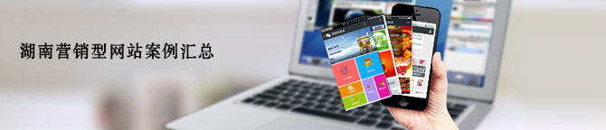 湖南營銷型網(wǎng)站案例匯總