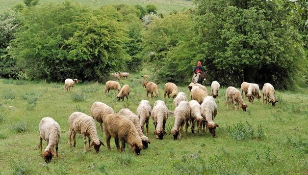 營銷型網(wǎng)站案例