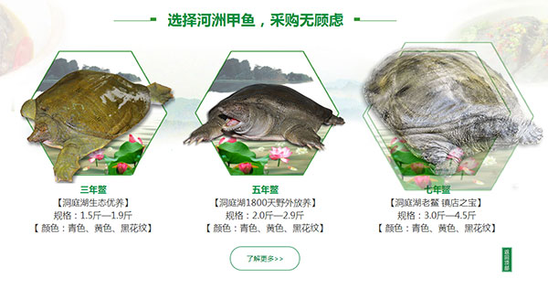 營銷型網(wǎng)站案例