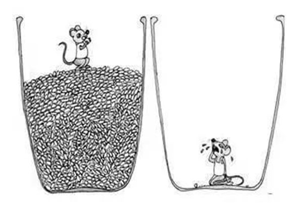 老鼠與米缸 老鼠與米缸