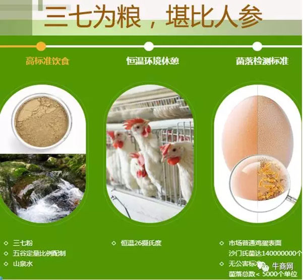 營銷型包裝的客戶產(chǎn)品，三七雞蛋