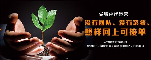 網(wǎng)站代運(yùn)營