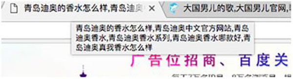 title堆砌關(guān)鍵詞案例