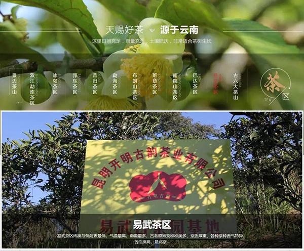 開明古韻產(chǎn)品種類