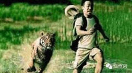 賺錢還是倒閉？互聯(lián)網(wǎng)轉(zhuǎn)型如何跑贏競(jìng)爭(zhēng)對(duì)手？