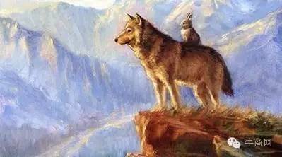 把狼群是逼去吃草，只需6天？！