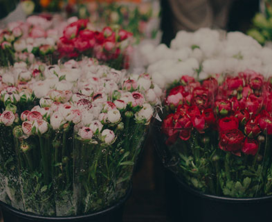 花店的節(jié)日促銷，花束做好就要交給 客戶，想做新款展示卻趕不上