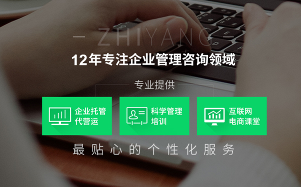 致?lián)P企業(yè)顧問-營銷型網站案例展示