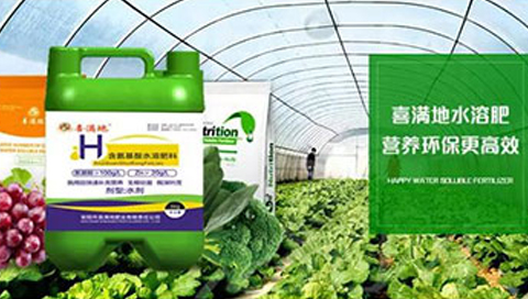 1天300篇文章，7天10萬付費(fèi)廣告，獲得0詢盤！問題出在哪？