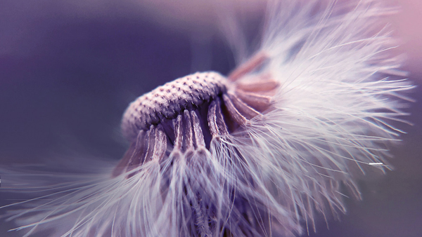 蘇州市古得堡數(shù)碼印刷有限公司營銷型網(wǎng)站建設(shè)進(jìn)行中