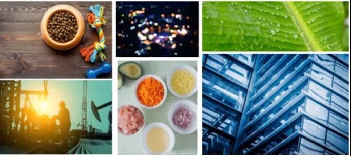 牛商云版權(quán)圖庫(kù)重磅上線