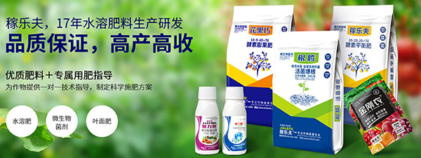 河南恒信農(nóng)化有限公司-營銷型網(wǎng)站案例展示