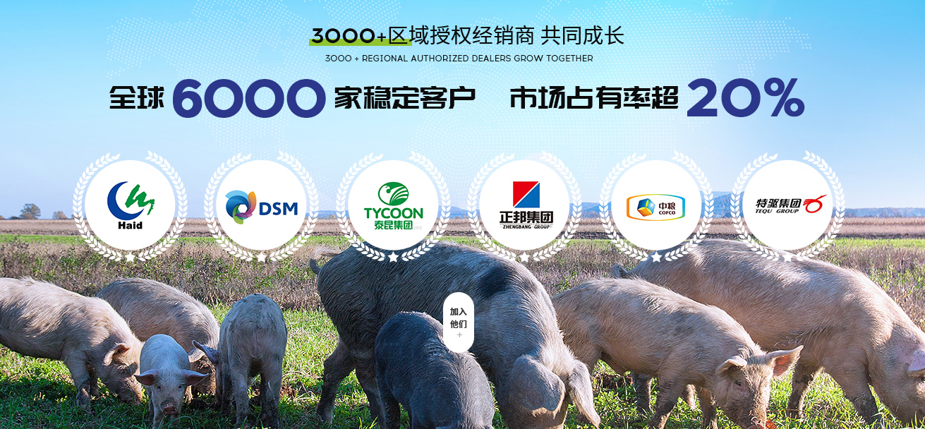 四川吉隆達生物科技集團有限公司營銷型網站建設進行中