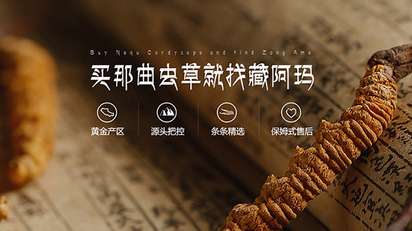 廣東金珠瑪米生物科技有限公司營(yíng)銷型網(wǎng)站建設(shè)進(jìn)行中