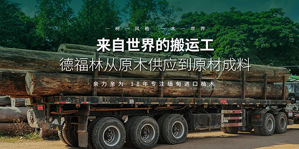 汕頭林氏木業(yè)有限公司營銷型網(wǎng)站建設(shè)進(jìn)行中