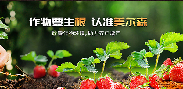 河南美爾森農(nóng)業(yè)科技有限公司營銷型網(wǎng)站建設(shè)進(jìn)行中